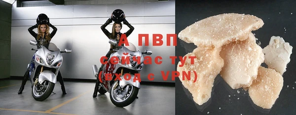 стафф Бородино
