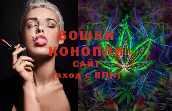 СК Бронницы
