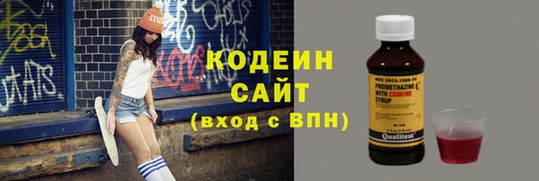 СК Бронницы