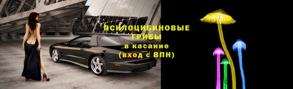 СК Бронницы