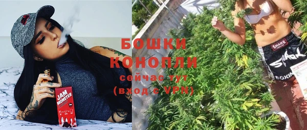 стафф Бородино