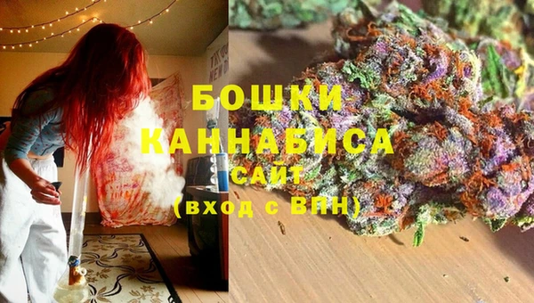 СК Бронницы