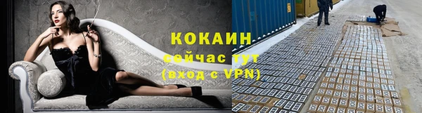 стафф Бородино