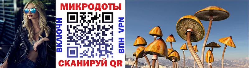 Псилоцибиновые грибы MAGIC MUSHROOMS  Рубцовск 